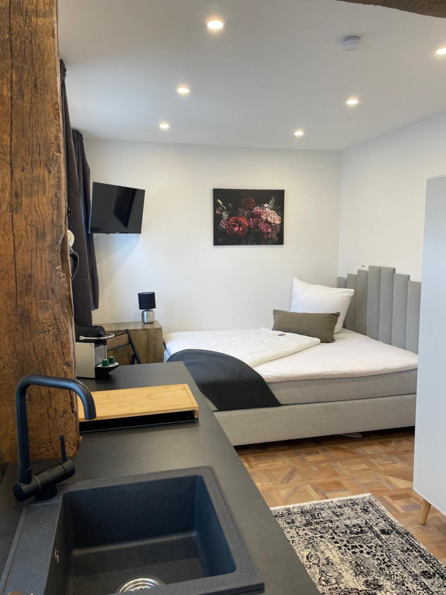 Apartments Im Chateau D'Esprit Höhr-Grenzhausen Dış mekan fotoğraf